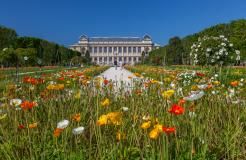 Discover the Jardin des Plantes: A Haven of Peace Steps Away from the Hôtel Observatoire Luxembourg