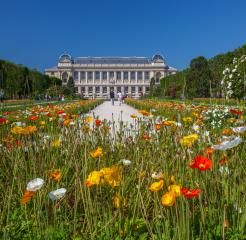 Discover the Jardin des Plantes: A Haven of Peace Steps Away from the Hôtel Observatoire Luxembourg