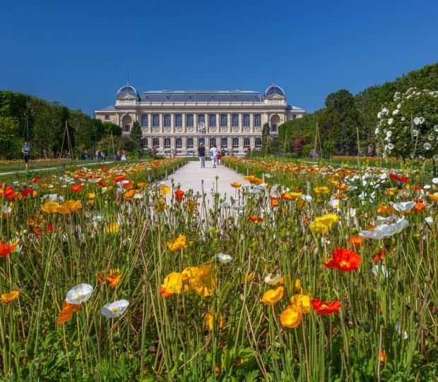 Découvrez le Jardin des Plantes : Un Havre de Paix à Deux Pas de l'Hôtel Observatoire Luxembourg